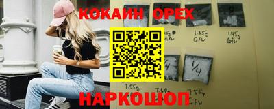 стафф Гатчина
