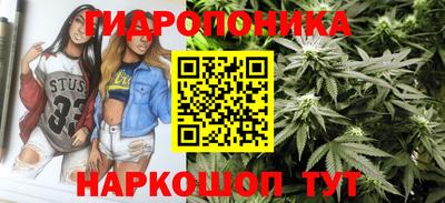 стафф Гатчина