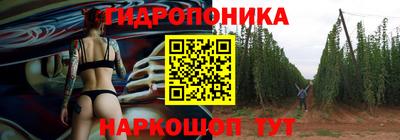 стафф Гатчина