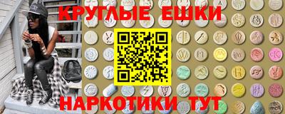 стафф Гатчина