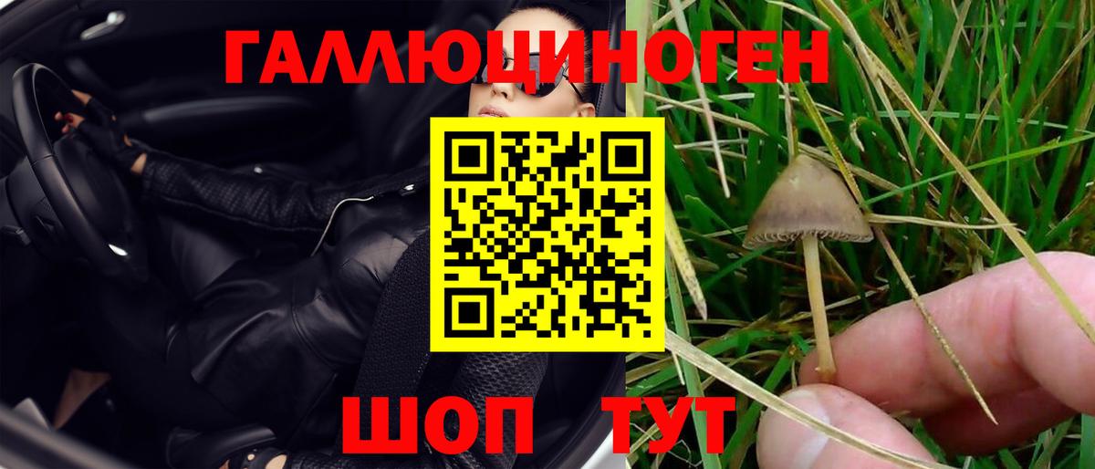 Мценск  Галлюциногенные грибы Psilocybine cubensis  Вход с VPN 